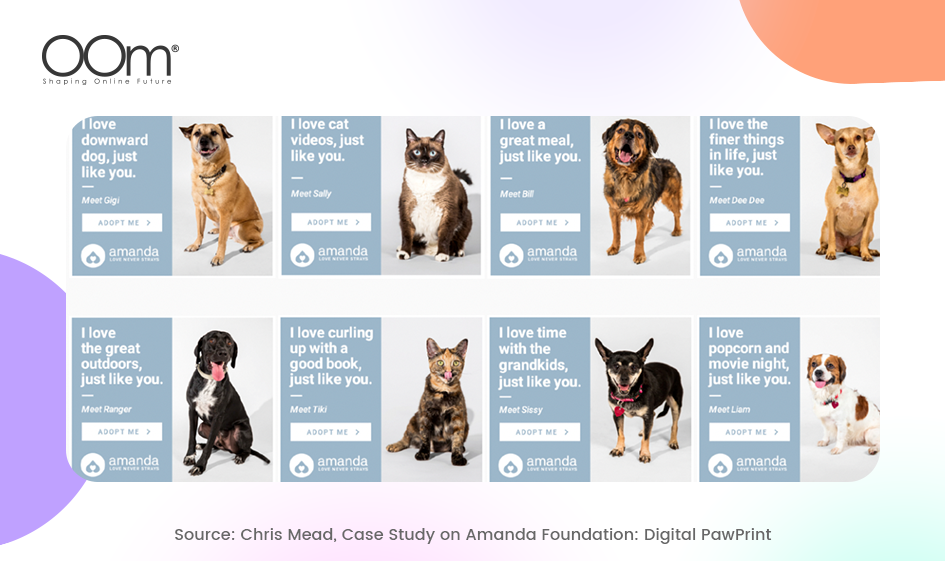 Amanda Foundation