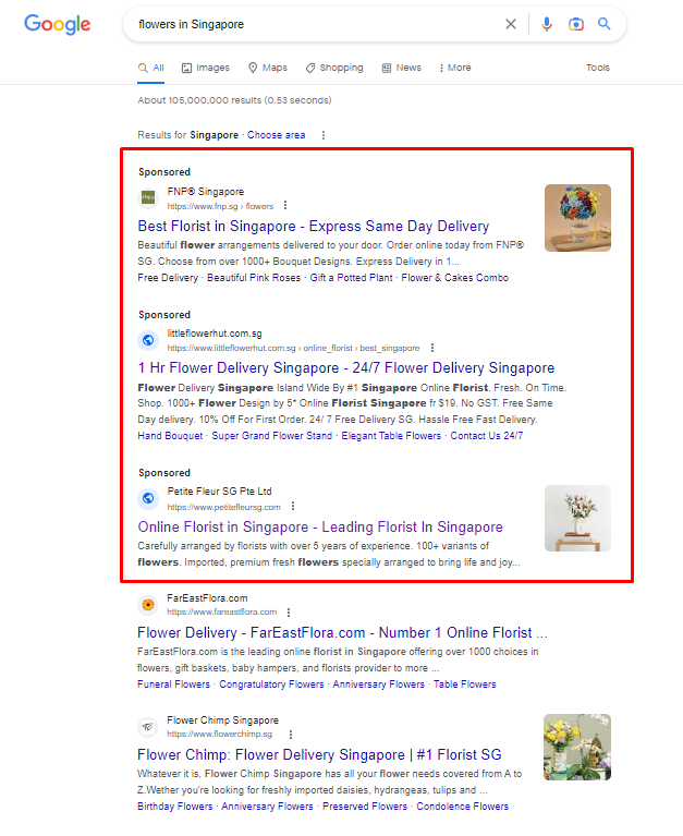 Example Of Search Ads Campaigns