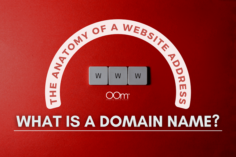The Anatomy Of A Website Address What Is A Domain Name