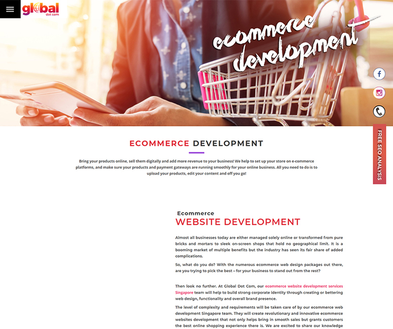 Global Dot Com Ecommerce Web Development