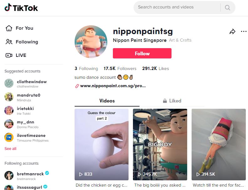 Nippon Paint TikTok Account