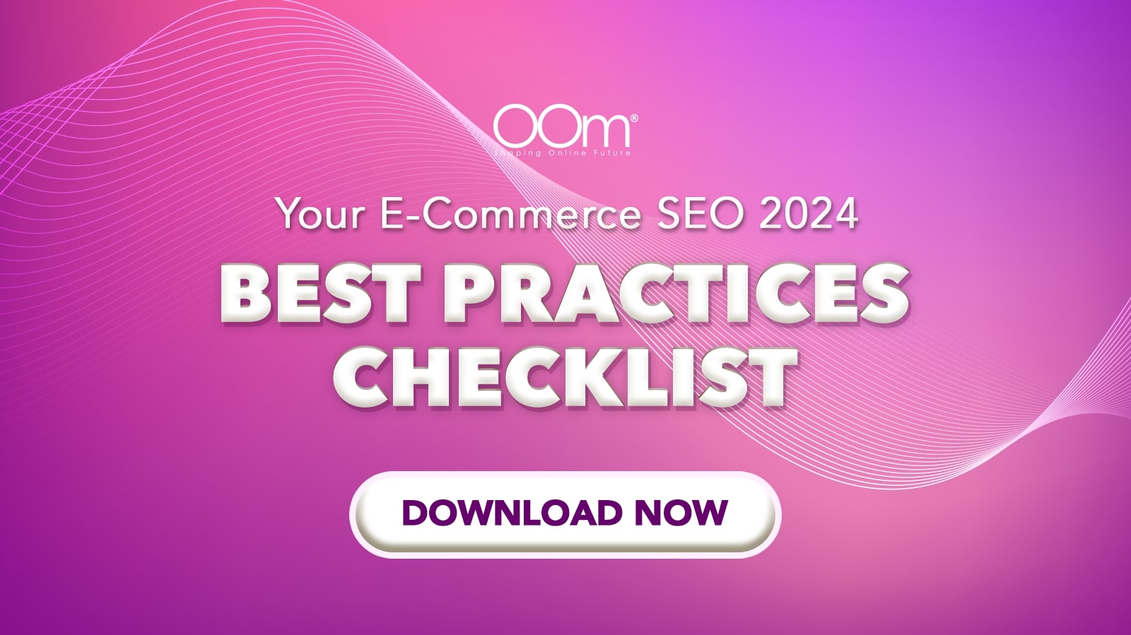 Click To Download Your Ecommerce SEO 2024 Checklist