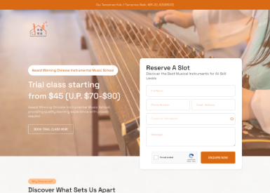 Chinese Instrumental Music School